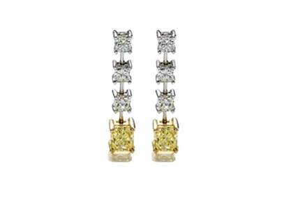 Two Tone Plated CZ Studded Gemstone Earring
